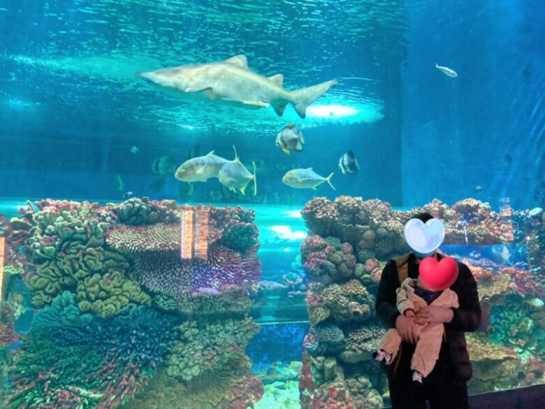 ニーレジハーザ動物園の水族館