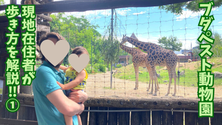 ブダペスト動物園のキリンコーナー