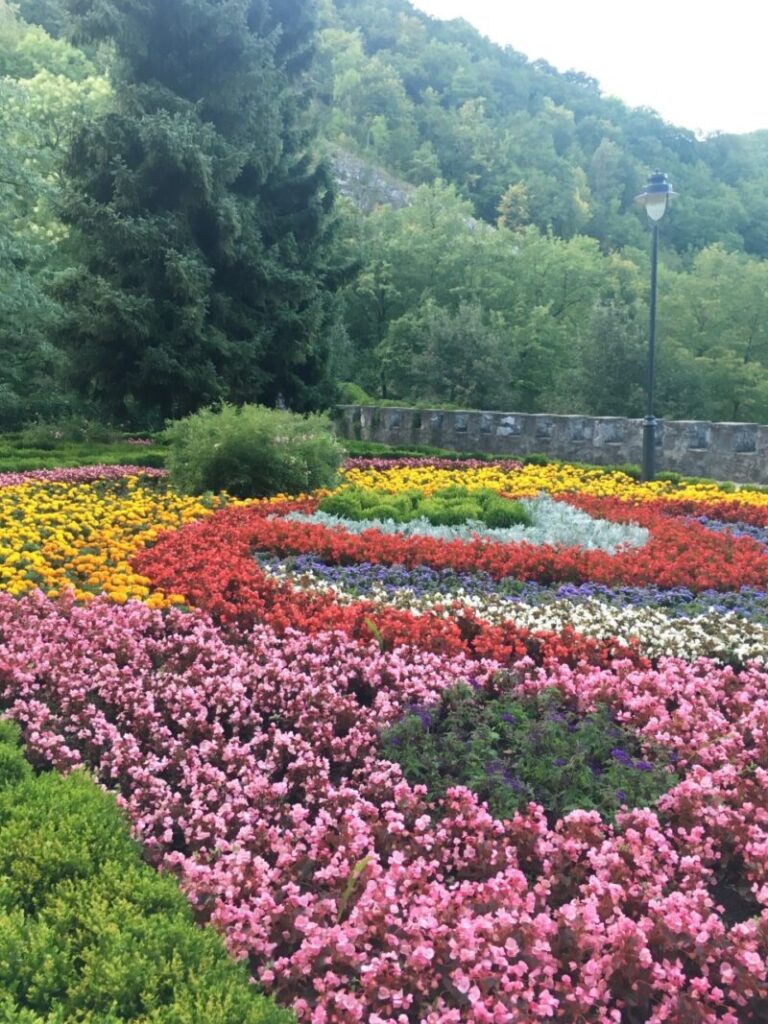 ハンガリーのリラフレドにある段々庭園　夏は花がいっぱい