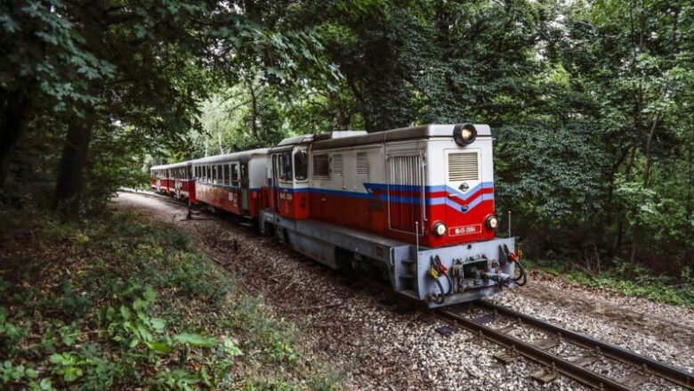 ブダペスト子供鉄道　山の中を走る様子