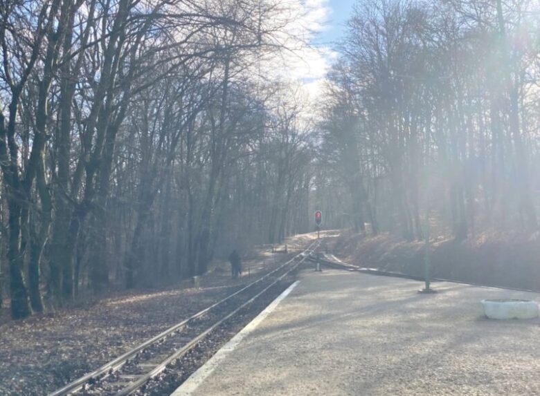 ブダペスト子供鉄道Hűvösvölgy駅のプラットホームから見る山の景色