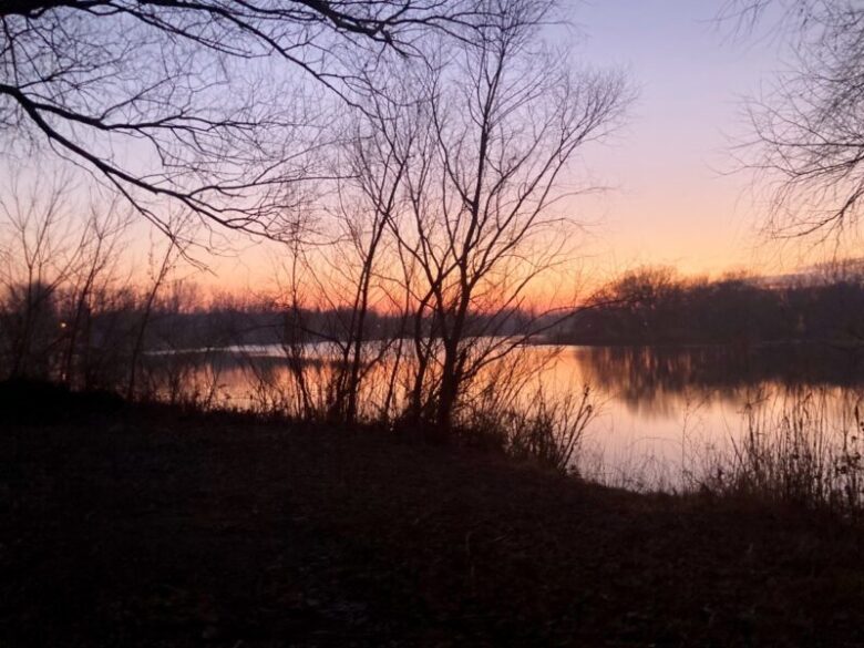 Tisza Balneum Hotelの敷地　夕方の風景