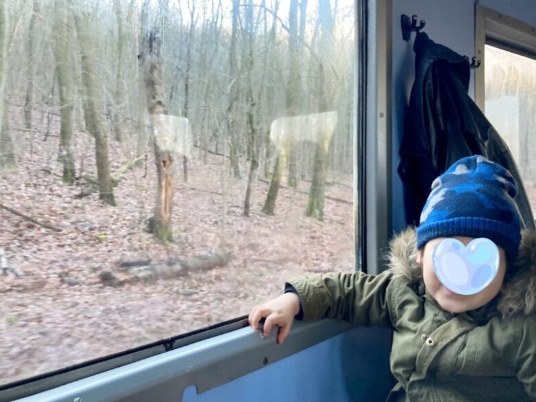 ブダペスト子供鉄道からの山の景色