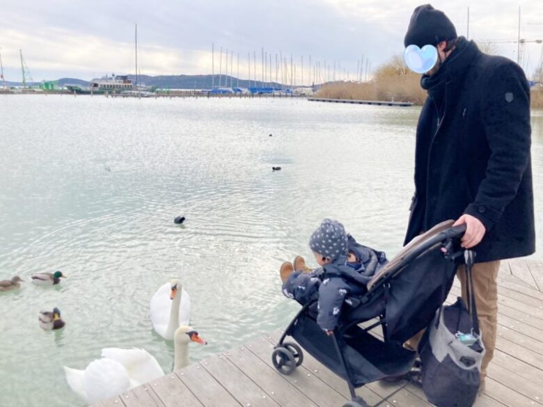 ハンガリーのバラトン湖　白鳥やカモがたくさん