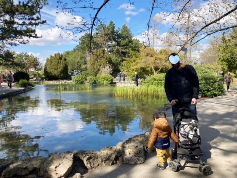 ブダペストのマルギット島の日本庭園　池