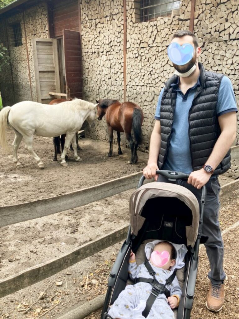 小さな動物園にいるポニーと撮影する夫と息子