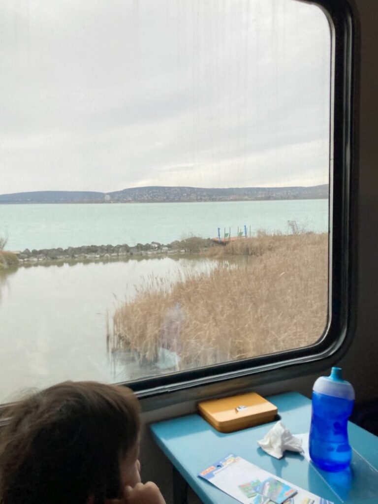 電車からバラトン湖を眺める息子