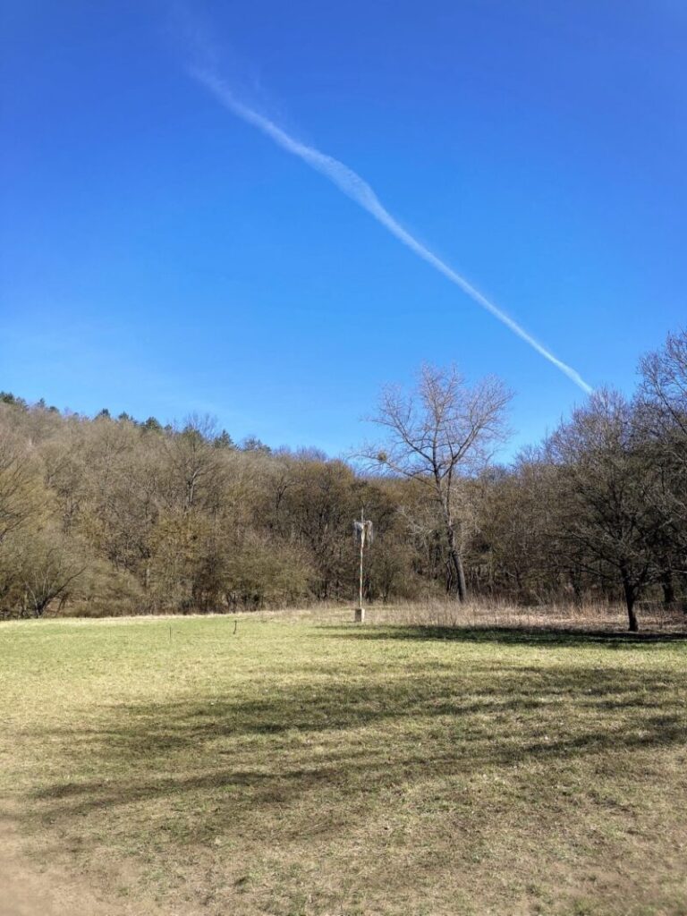 アルショー・イェゲニェ谷の空き地部分