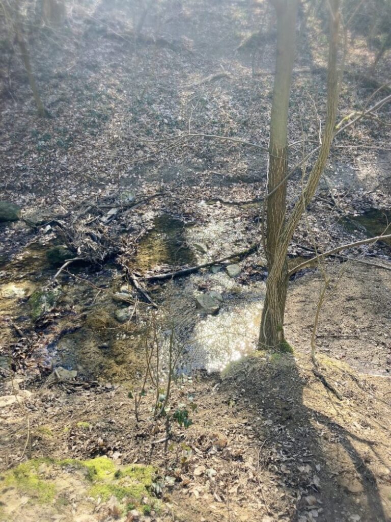 アルショー・イェゲニェ谷を流れるパプリカの小川