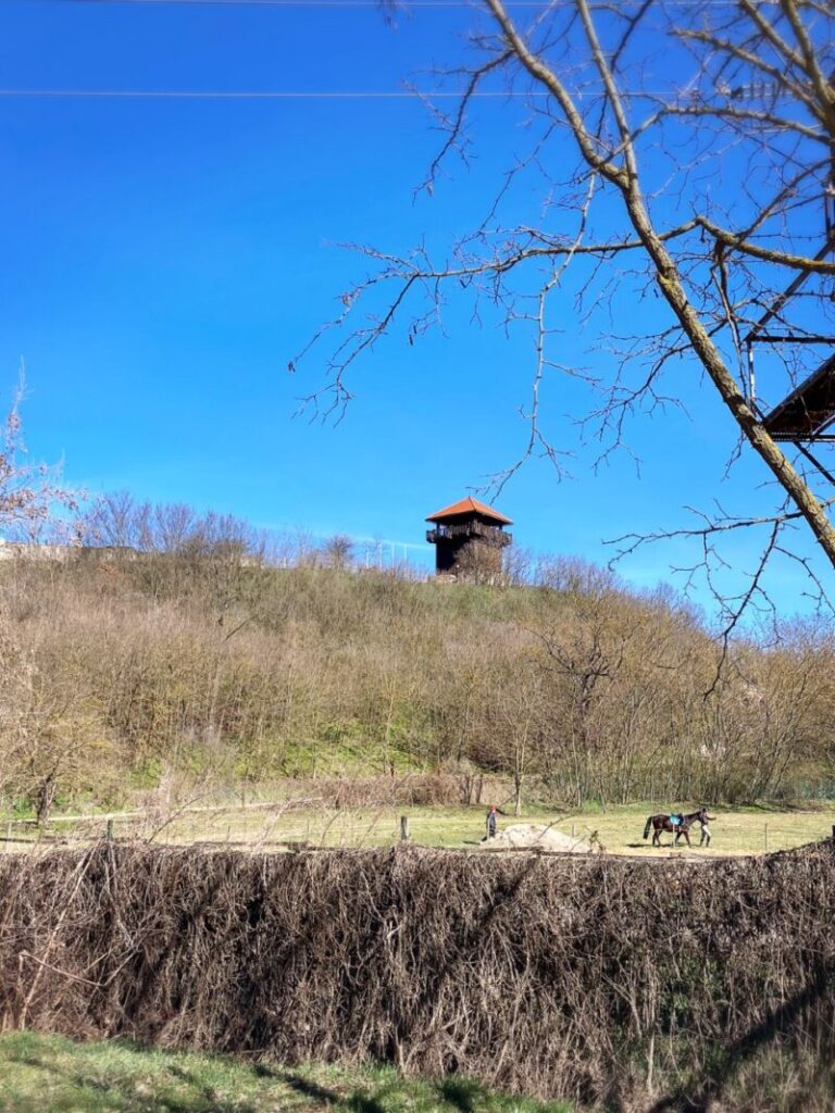 ショイマール城と馬術場