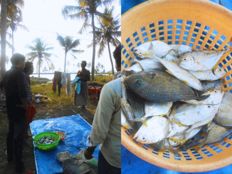 村を散策して、釣れた魚を見せてもらう