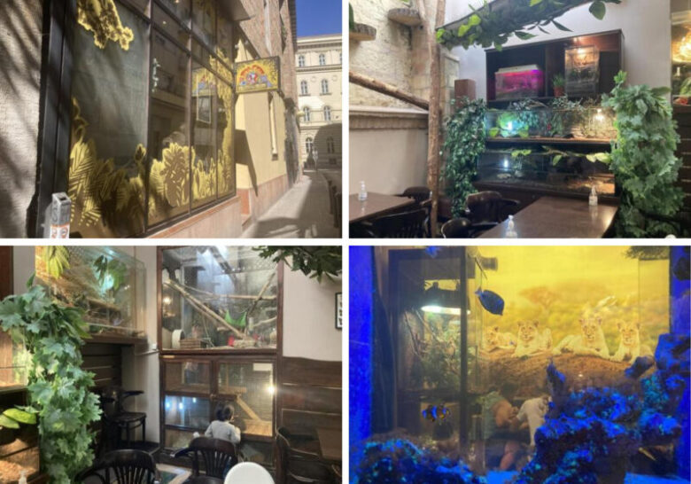 ブダペストの大人気カフェ　Zoo Cafeの外観と内部