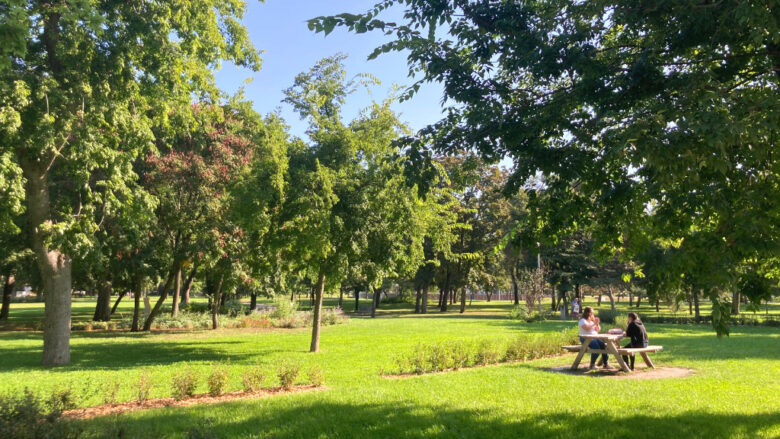 公園のベンチで座っている若い女性2人