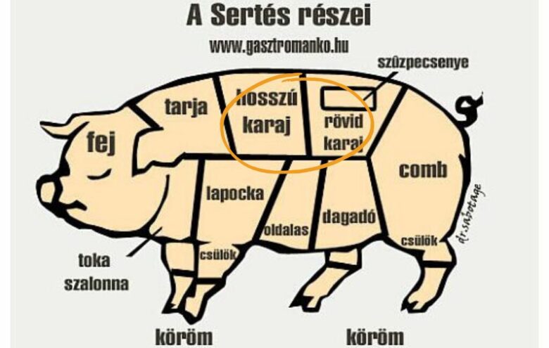 豚肉の部位のイラスト（ハンガリー語）