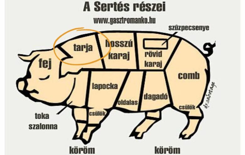 豚肉の部位のイラスト（ハンガリー語）