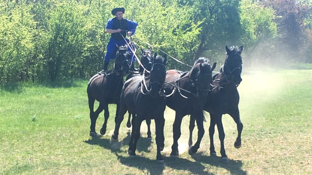 ホルトバージの馬術ショーの様子。馬の上に立つ青い服をまとった人