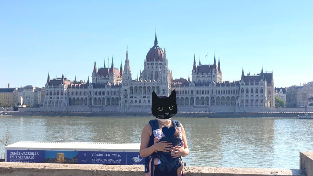 ブダペストの国会議事堂をドナウ川の反対側から眺めた様子