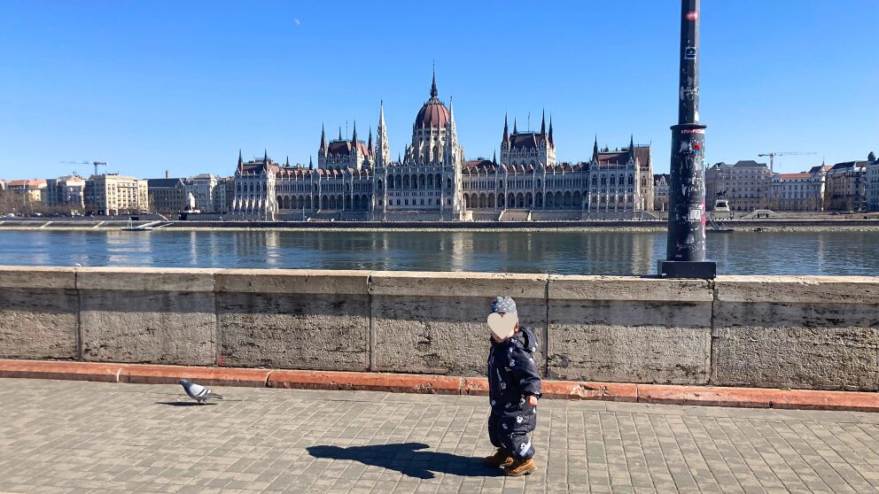 ドナウ川と国会議事堂の景色