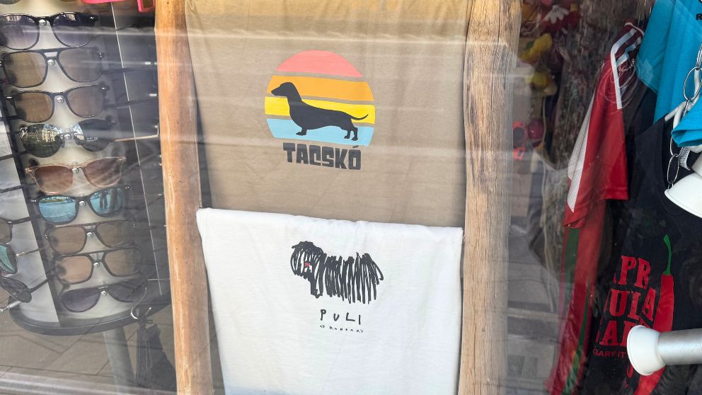 ブダペストのお土産物屋さんに売っていたプリ犬やタチュコー犬のTシャツ
