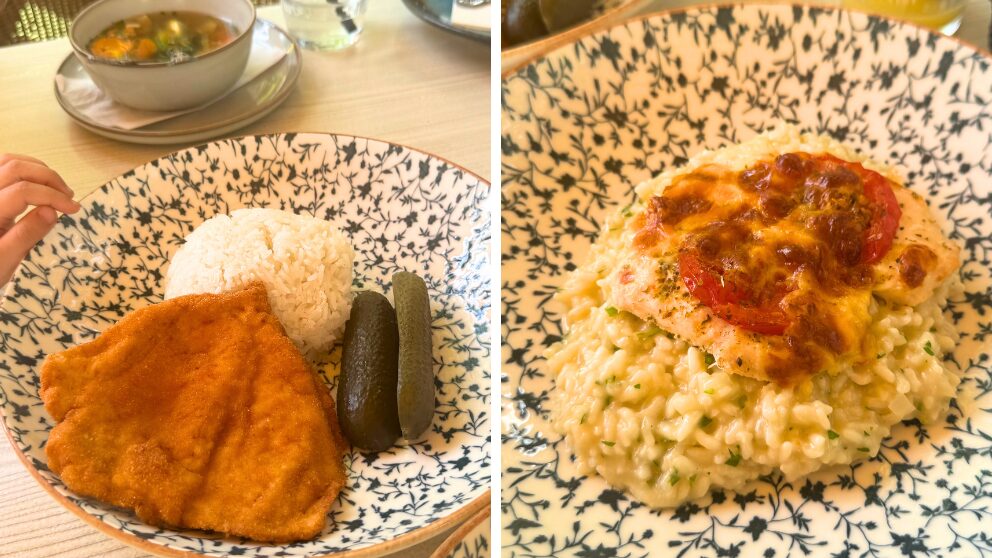 ハンガリーのバラトン湖畔の町、BalatonnlelleにあるKedvesem Bisztroのランチのメイン料理