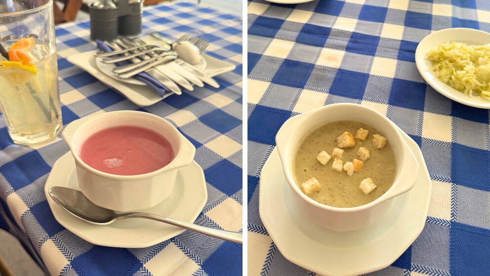 ハンガリーのバラトン湖畔の町、BalatonnlelleにあるMolo Etteremの前菜のスープ