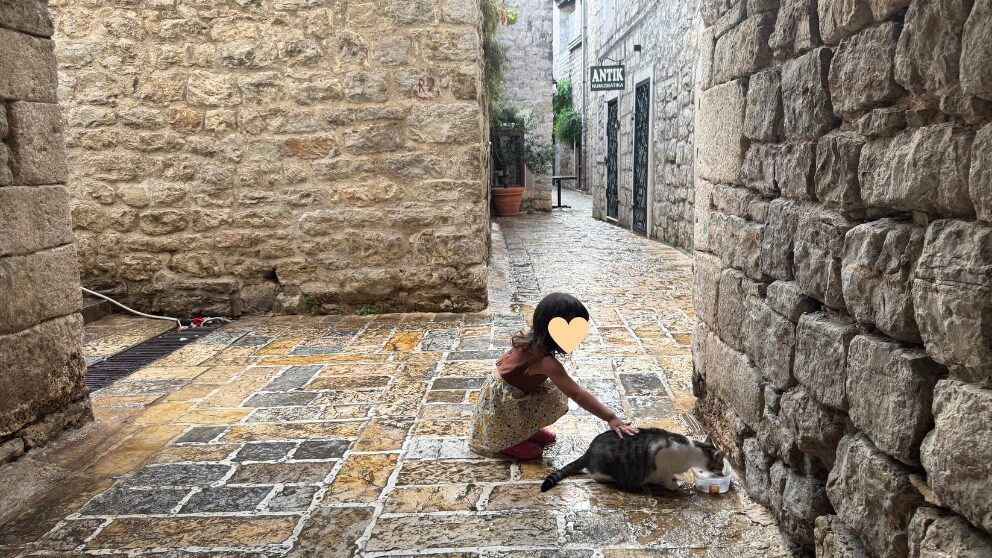 モンテネグロの人気観光地、ブドヴァの旧市街で猫を撫でる娘