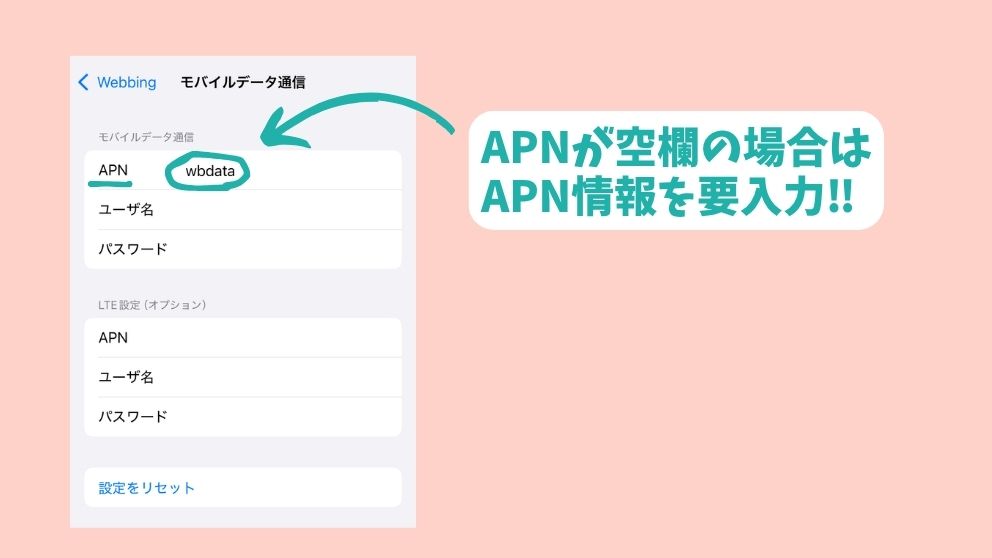 スマホでeSIMのAPNを表示している画面