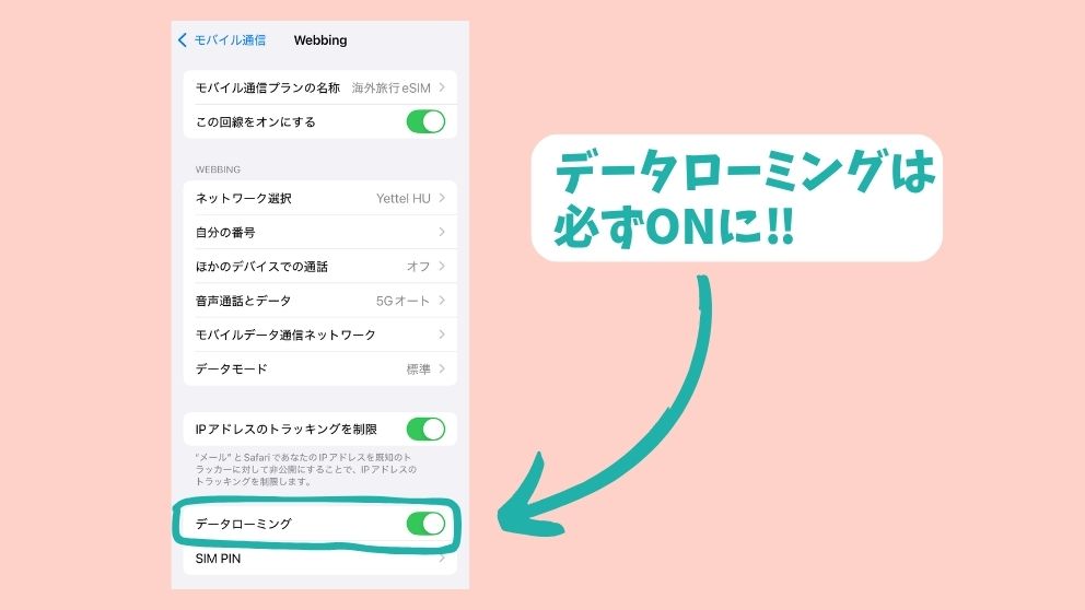 eSIMのデータローミングをONにする案内