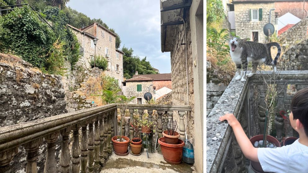 モンテネグロの世界遺産、コトルの旧市街で宿泊したアパートのテラスと、よく遊びに来ていた猫