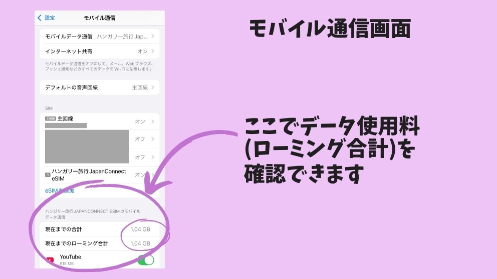 ジャパンコネクト・イーシム（JapanConnect eSIM）のデータ使用料を、モバイル通信の画面で確認中の様子