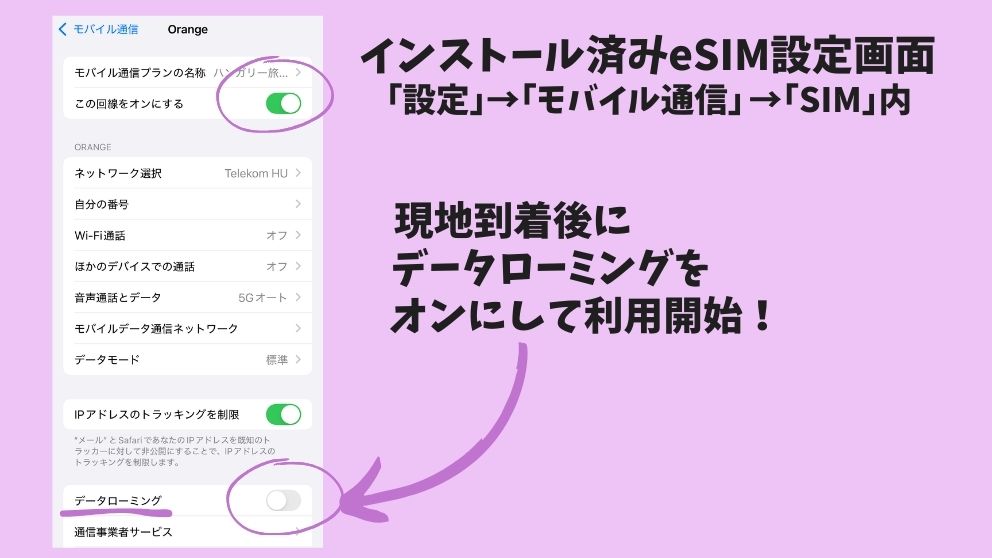 ジャパンコネクト・イーシム（JapanConnect eSIM）のインストール終了後、データローミングをオンにするのを示す画面