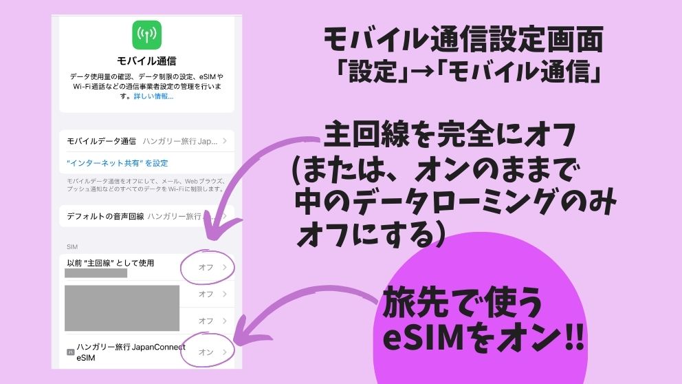 ジャパンコネクト・イーシム（JapanConnect eSIM）のインストール終了後、主回線をオフにして、eSIMをオンにしている画面