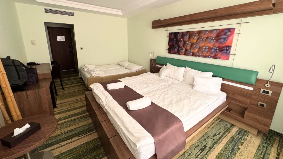 ハンガリーのヴェレンツェ湖（Gardony)にあるVital Hotel Nautisで宿泊した客室