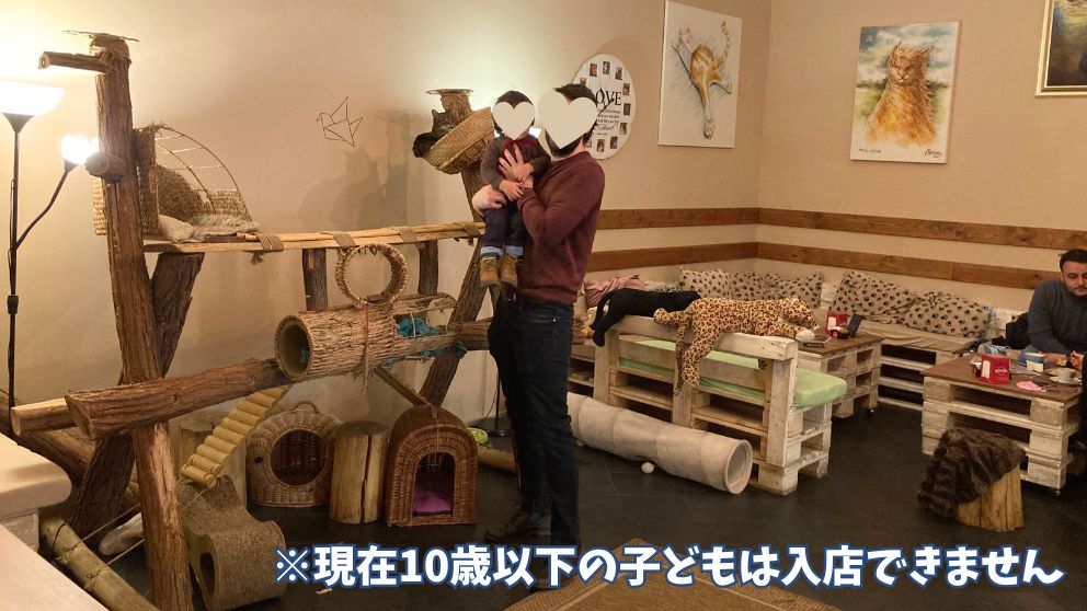 ブダペストのCat Caféの店内の様子。奥の部屋は少し薄暗くて落ち着いた雰囲気。猫のおもちゃやカゴが置いてある