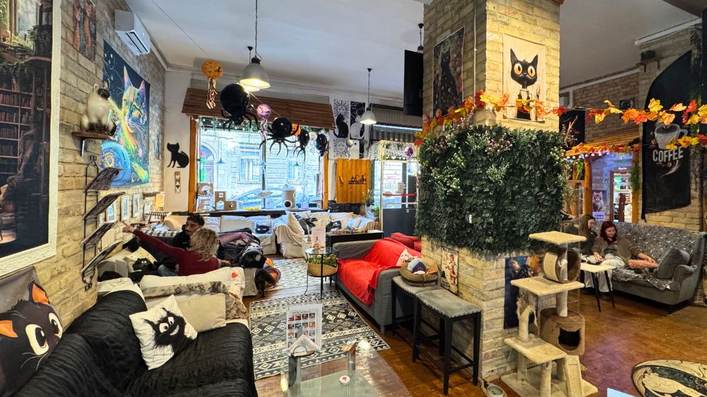 ブダペストのCat Wood Caféの店内の様子。10月だったのでハロウィンの飾りつけもある