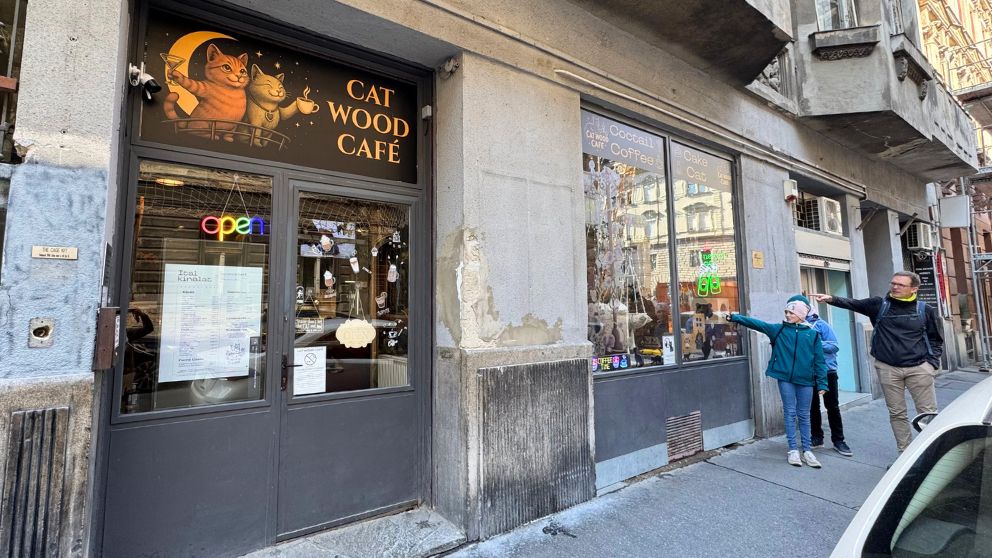 ブダペストのCat Wood Caféの外観。窓際で猫を見ている家族