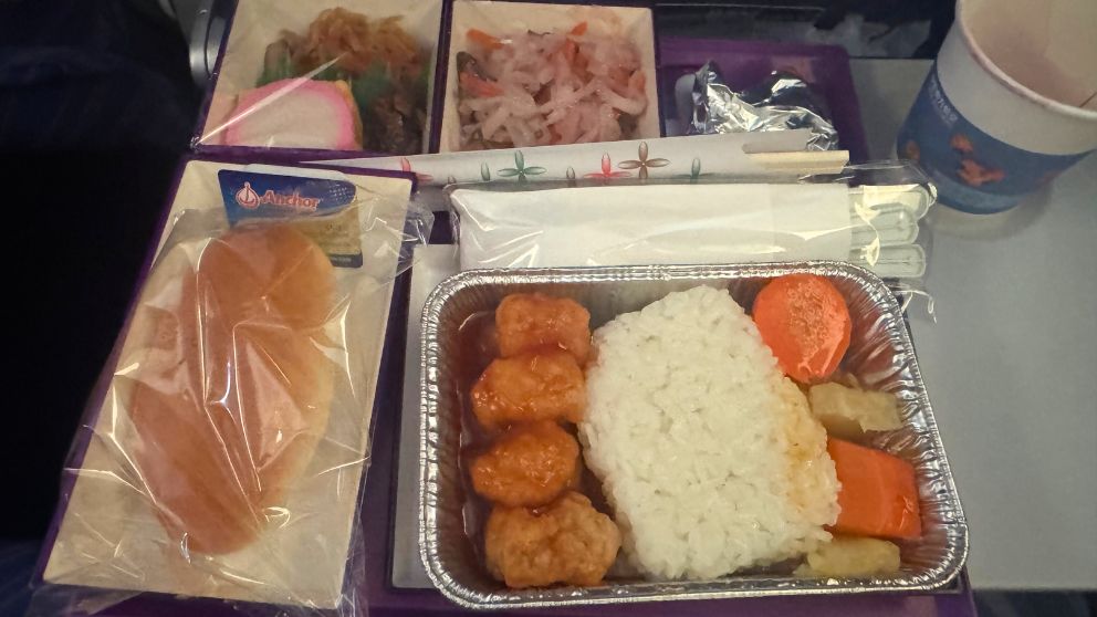 中国南方航空の機内食。魚のフライとライス