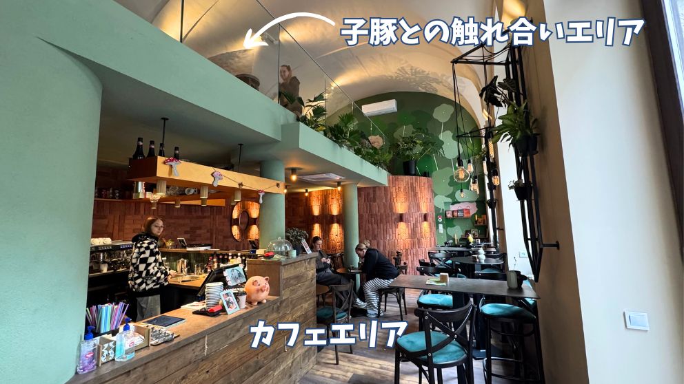 ブダペストのMiniPig Cafeの店内。下の階がカフェで、上のギャラリーは子豚のいるエリア