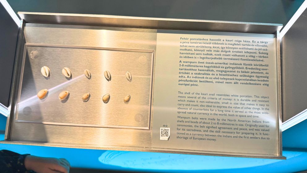 ハンガリー貨幣博物館に展示されている貝。昔はお金の代わりに使われていた