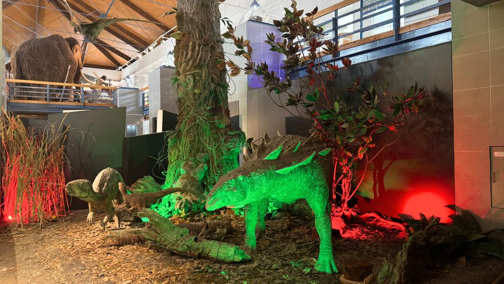 ブダペストのハンガリー自然史博物館の本館。恐竜の模型のエリアで、恐竜が緑や赤のライトに照らされている