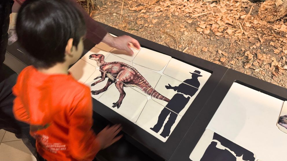 ブダペストのハンガリー自然史博物館の本館。恐竜のパズルで遊ぶ息子