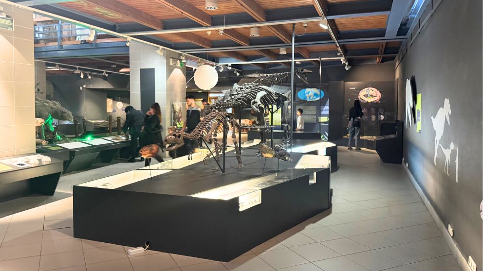 ブダペストのハンガリー自然史博物館の本館。橋梁の模型のエリア