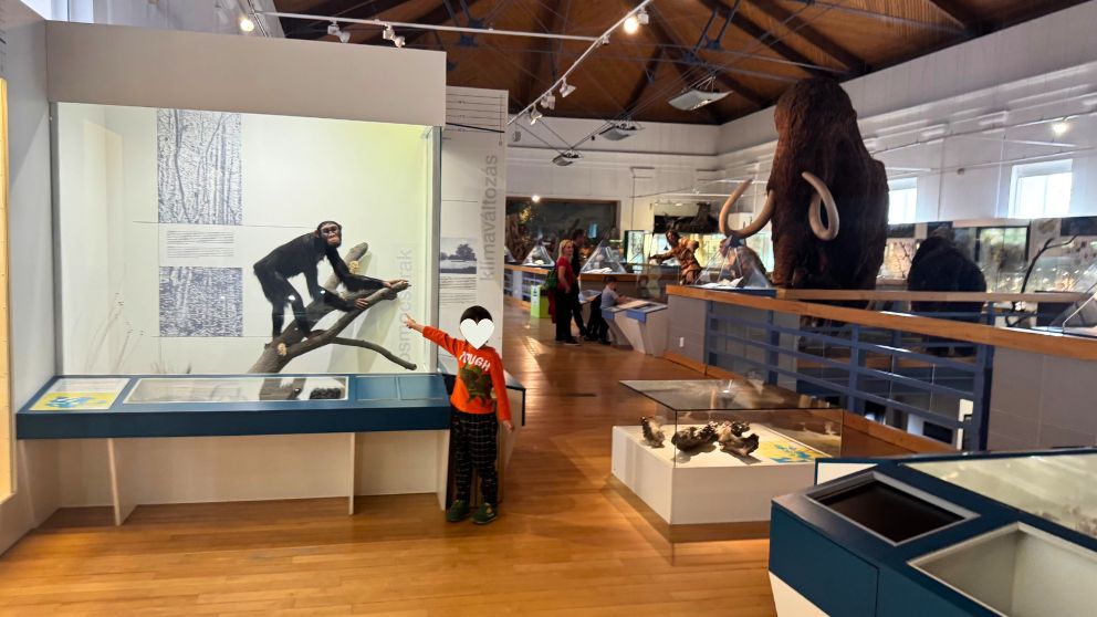 ブダペストのハンガリー自然史博物館の本館最上階で、人間の進化のコーナーに立つ息子。背景にマンモス