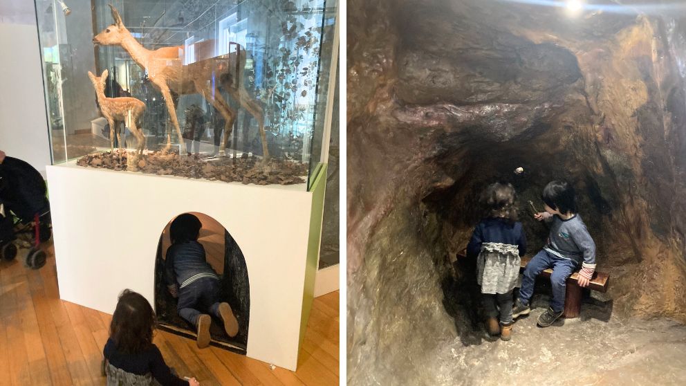 ブダペストのハンガリー自然史博物館の本館最上階。鹿の展示の下のトンネルをくぐったり、洞窟の椅子に座って楽しむ息子と娘