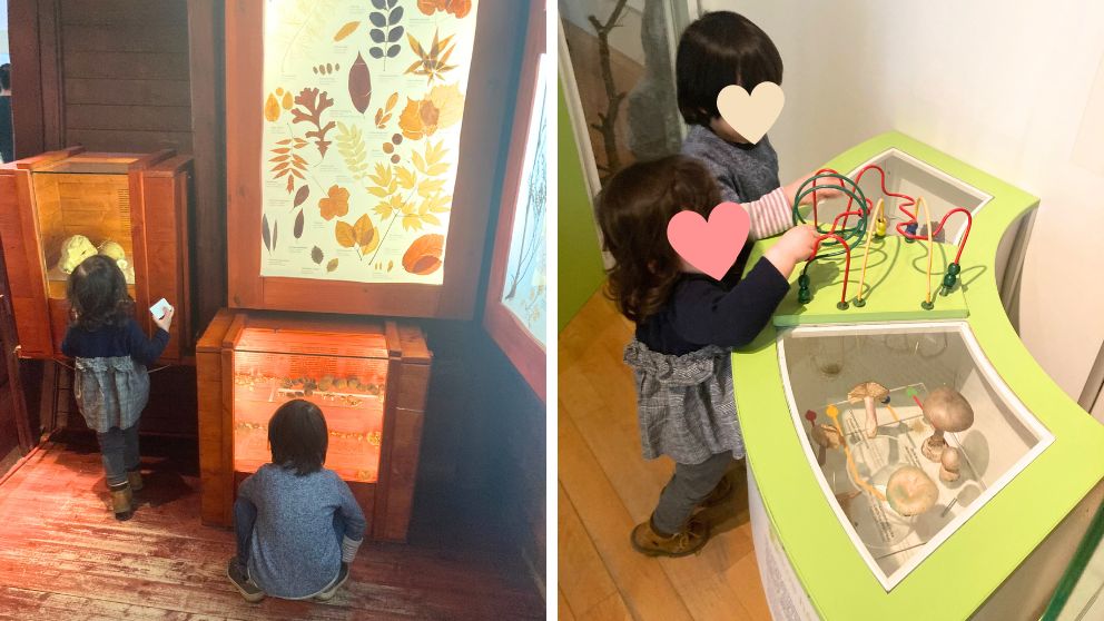 ブダペストのハンガリー自然史博物館の本館最上階。展示を見学したり、おいてあるビーズコースターで遊ぶ娘と息子