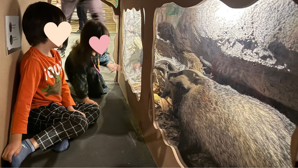 ブダペストのハンガリー自然史博物館の企画展スペースに飾られている動物の剥製