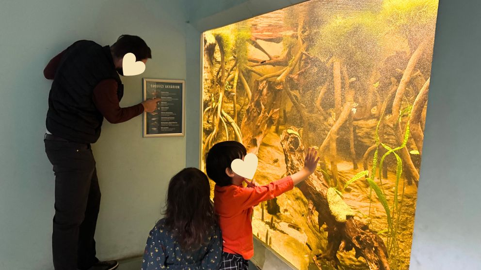 ブダペストのハンガリー自然史博物館で、水槽の魚を眺める息子と娘
