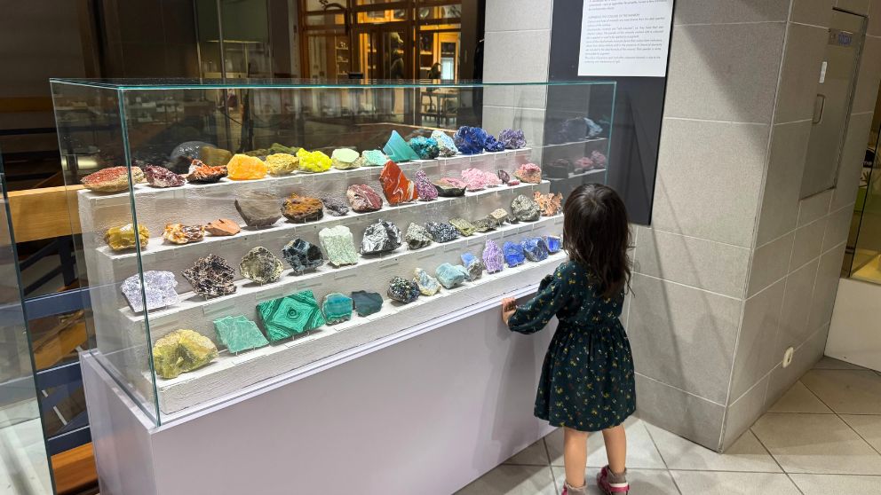 ブダペストのハンガリー自然史博物館の本館。鉱石を真剣に眺める娘