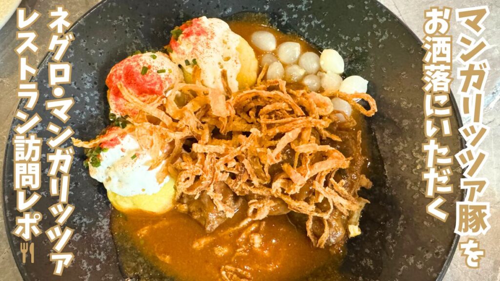 ブダペストのNegro Mangalicaレストランの一品、マンガリッツァ豚のホホ肉の赤ワイン煮込み