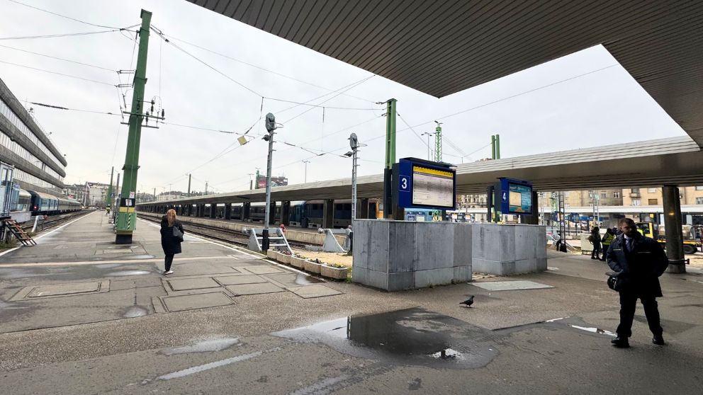 ブダペスト南駅のプラットホーム。屋根がない場所も多い